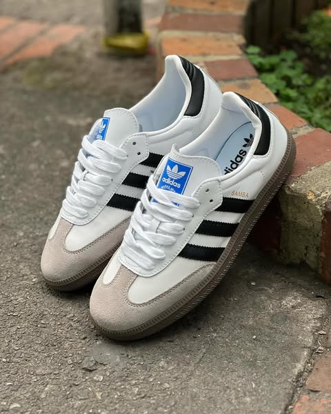 ADIDAS SAMBA OG CLASICAS ✅